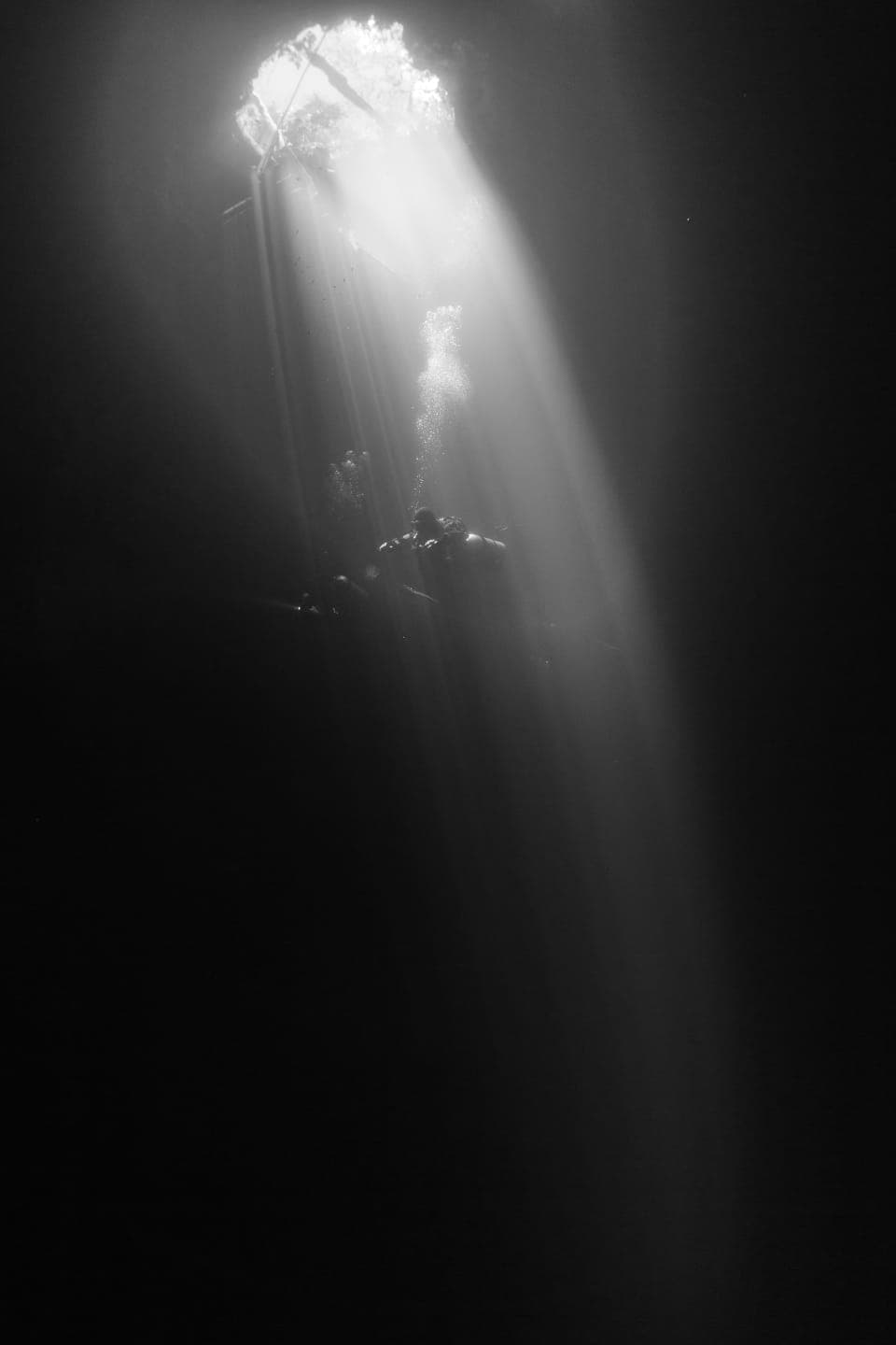 Cenote Pit Lumiere Verticale