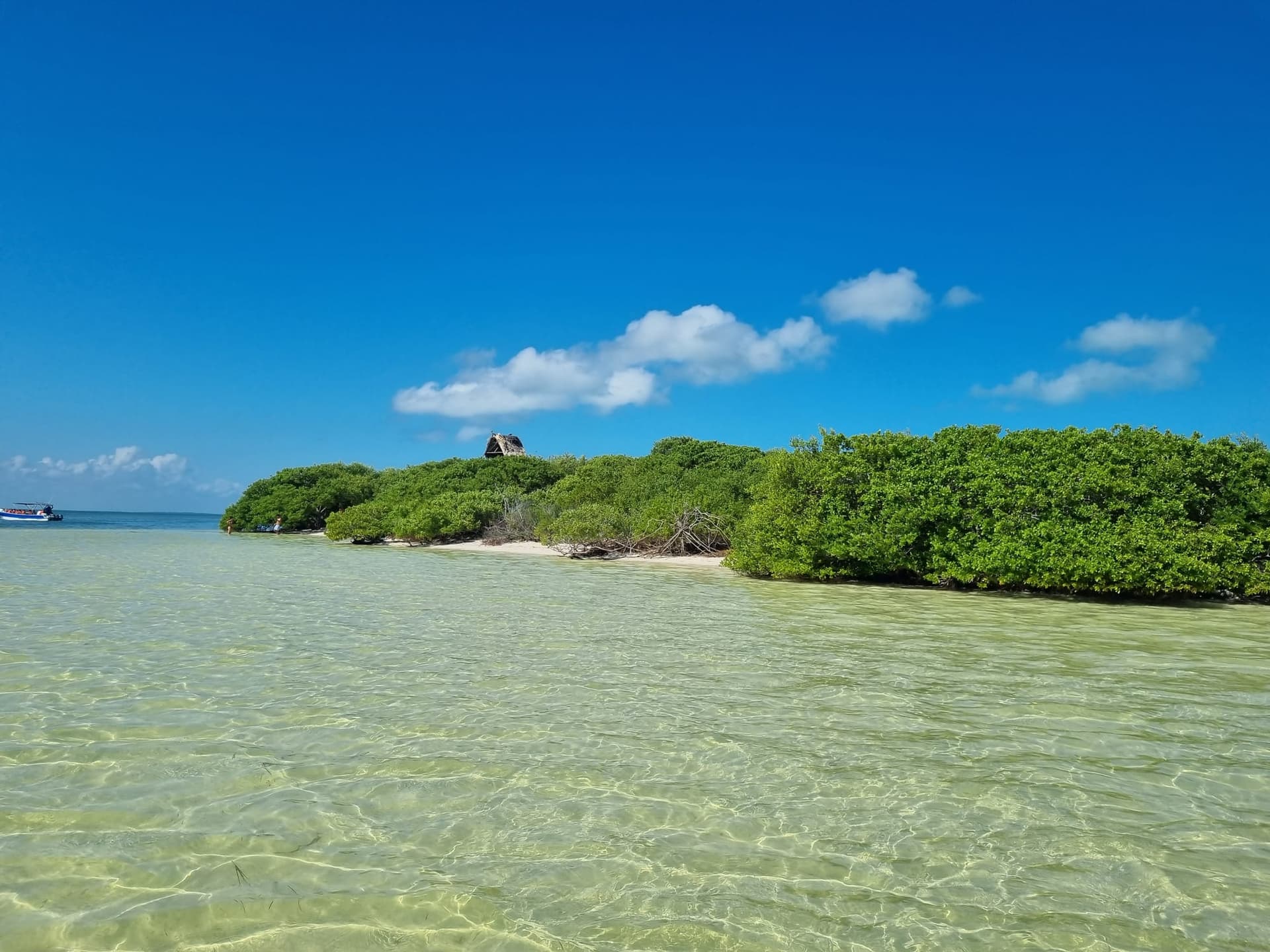 Excursion sur l’île de Holbox