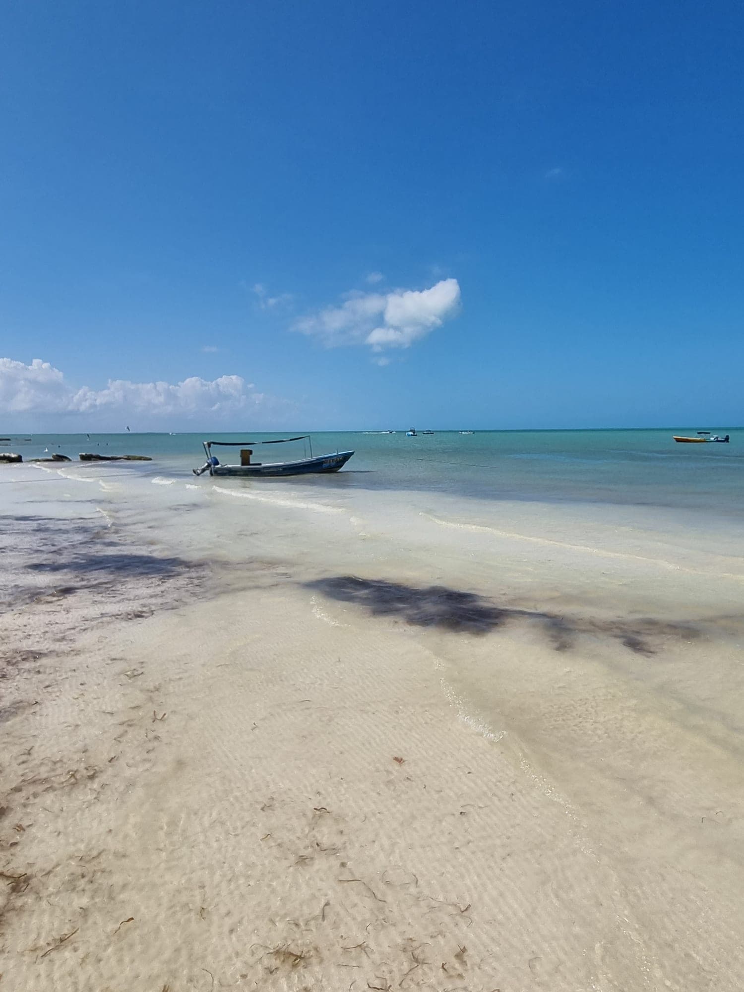 Excursion sur l’île de Holbox