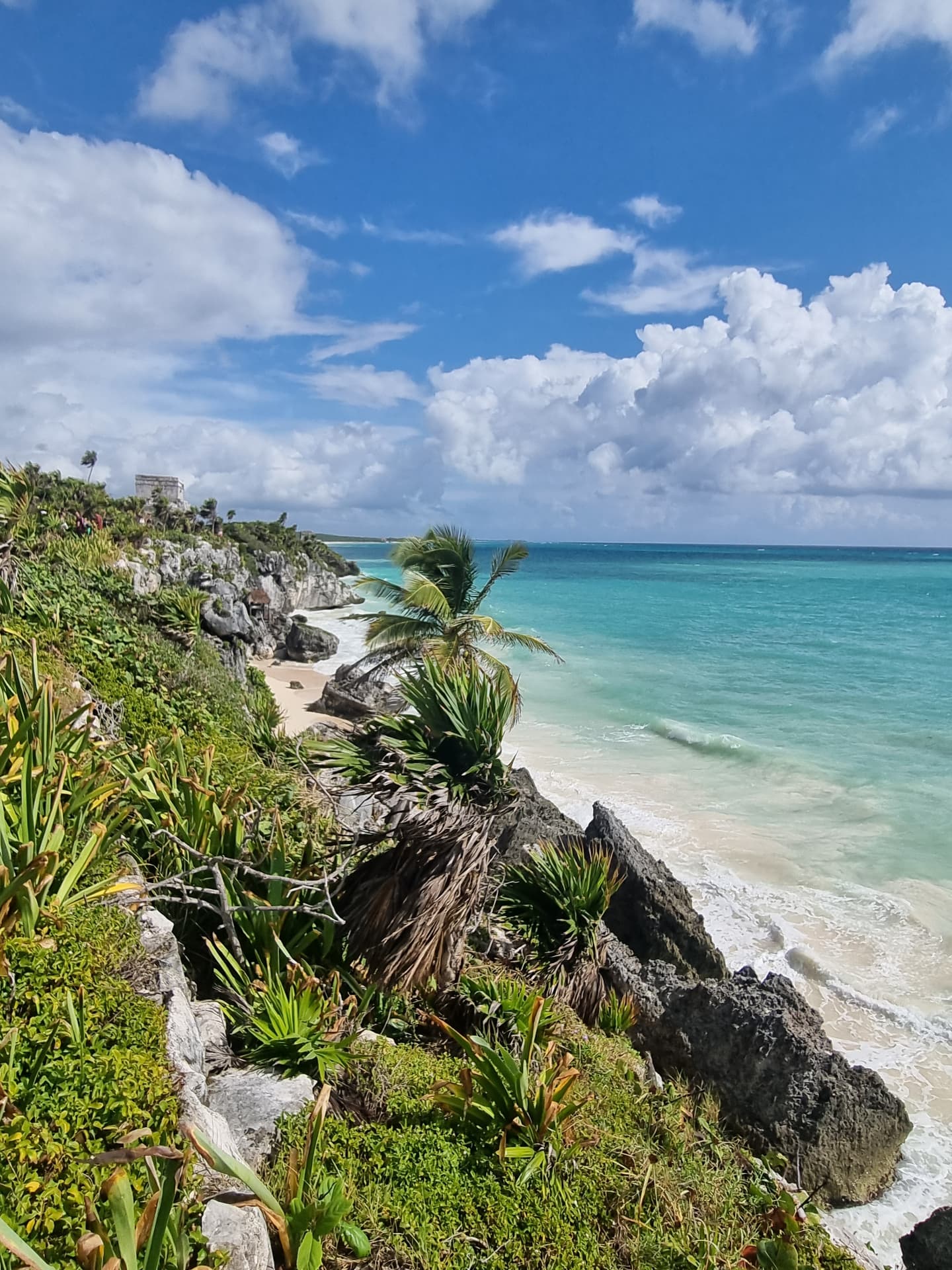 Tulum Plage Caraibes Falaise