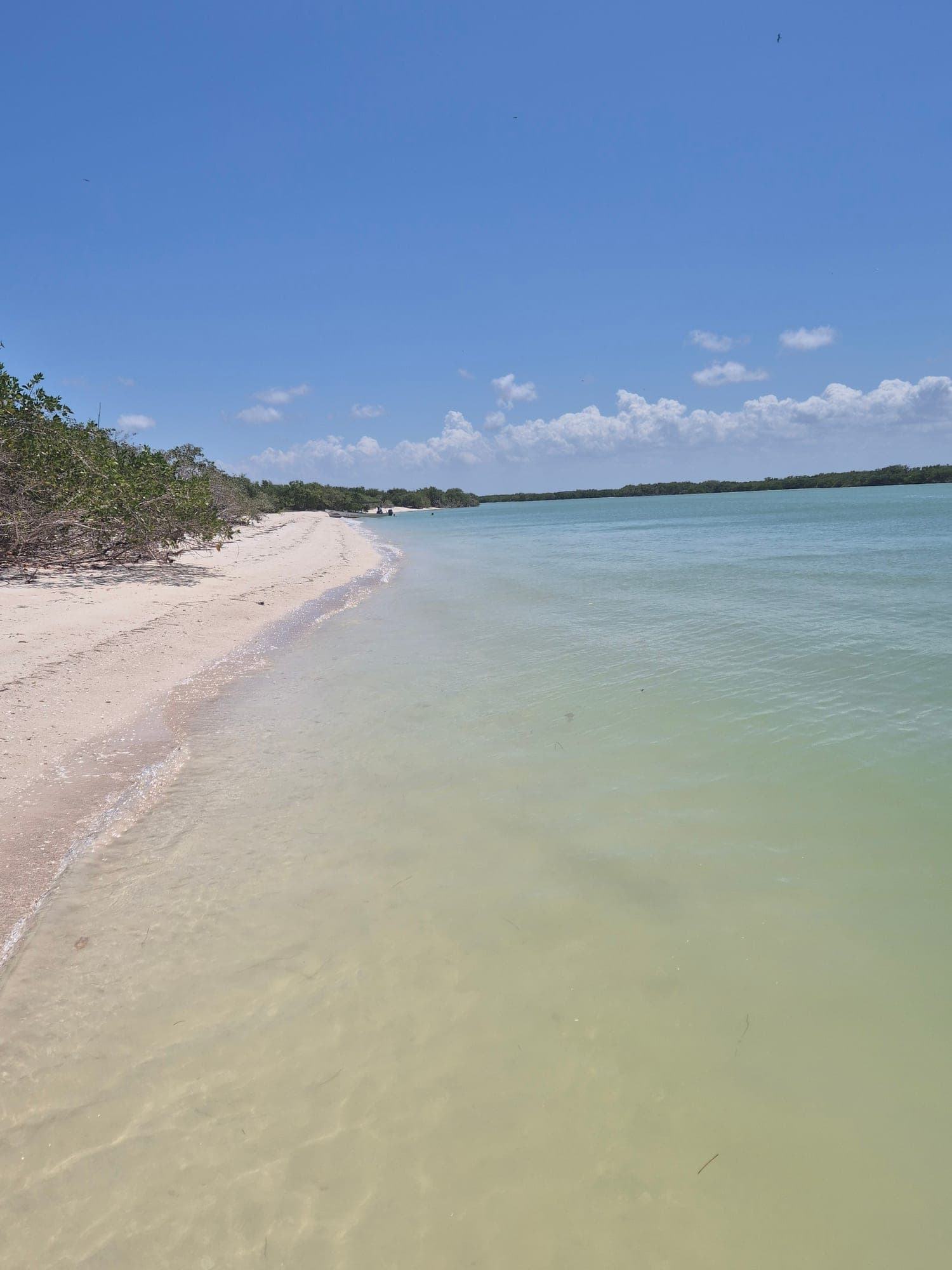 Circuit dans le Yucatán et le Quintana Roo