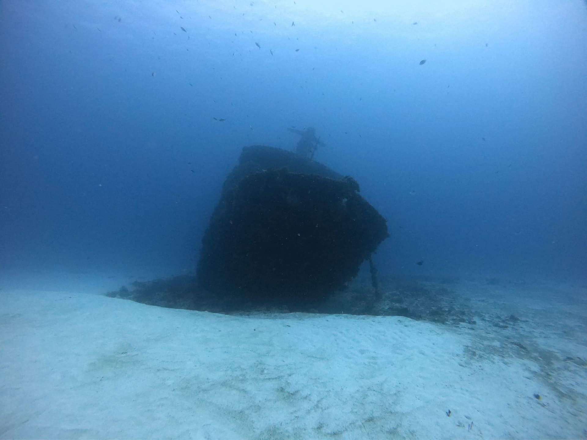 Plongée sur l’épave du Mama Viña à Playa del Carmen