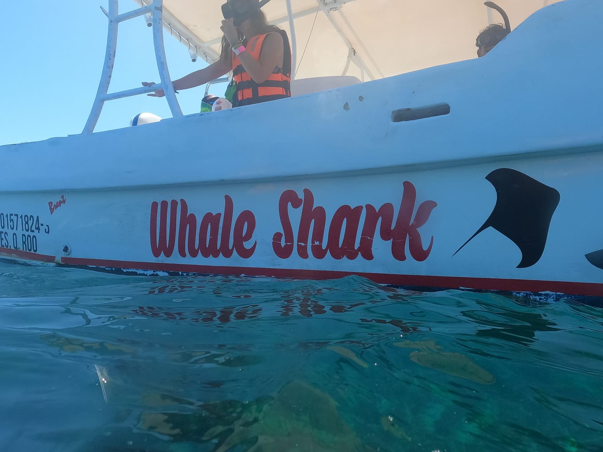Nage avec les requins-baleines au départ de Playa del Carmen