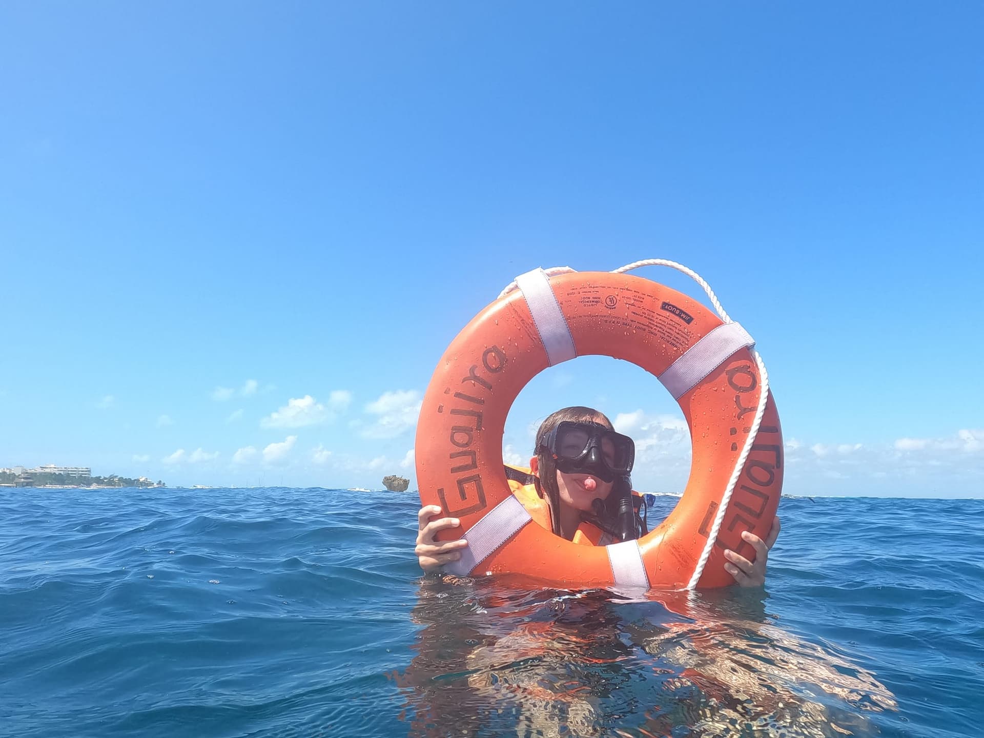 Nage avec les requins-baleines au départ de Playa del Carmen