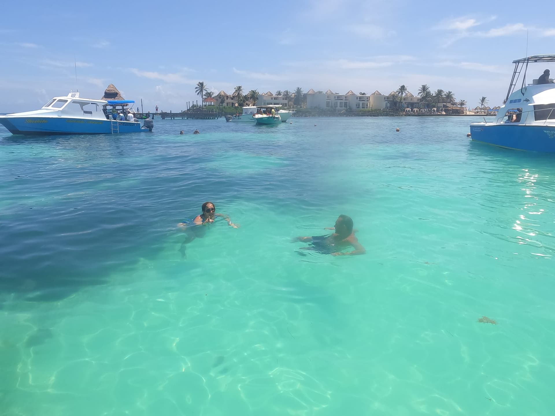 Nage avec les requins-baleines au départ de Playa del Carmen